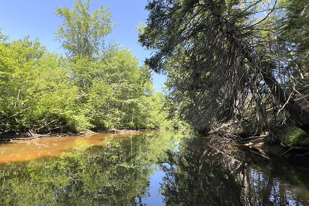 Rivière Aboujagane