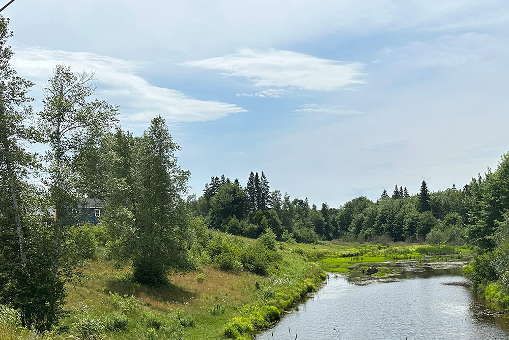 Des résidents qui habitent le long du ruisseau Bear Creek ont conservé une zone tampon riveraine pour la flore et la faune, ce qui aide à la qualité de l'eau.