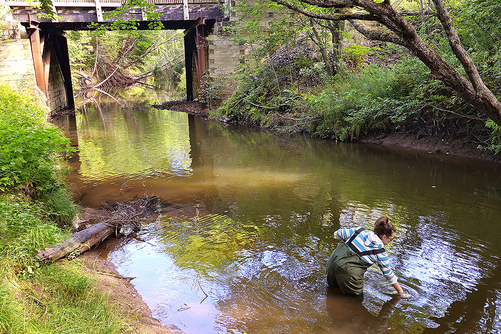 De juin à octobre, des échantillons pour déterminer la qualité de l'eau sont prélevés dans les ruisseaux et les rivières du bassin versant