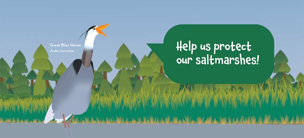 Help us protect our saltmarshes!