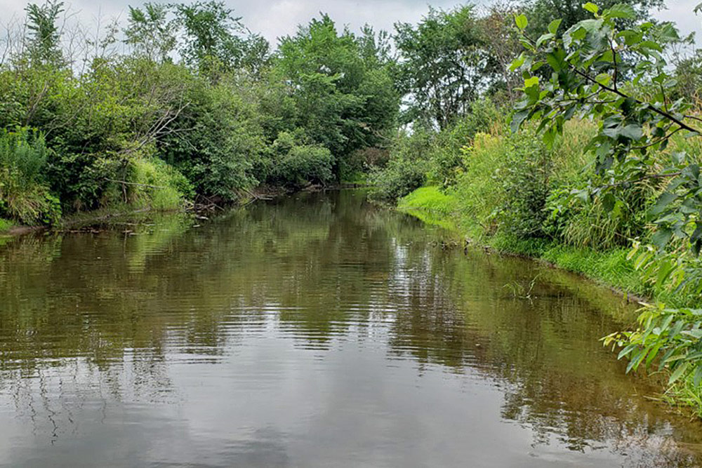 La rivière Aboujagane