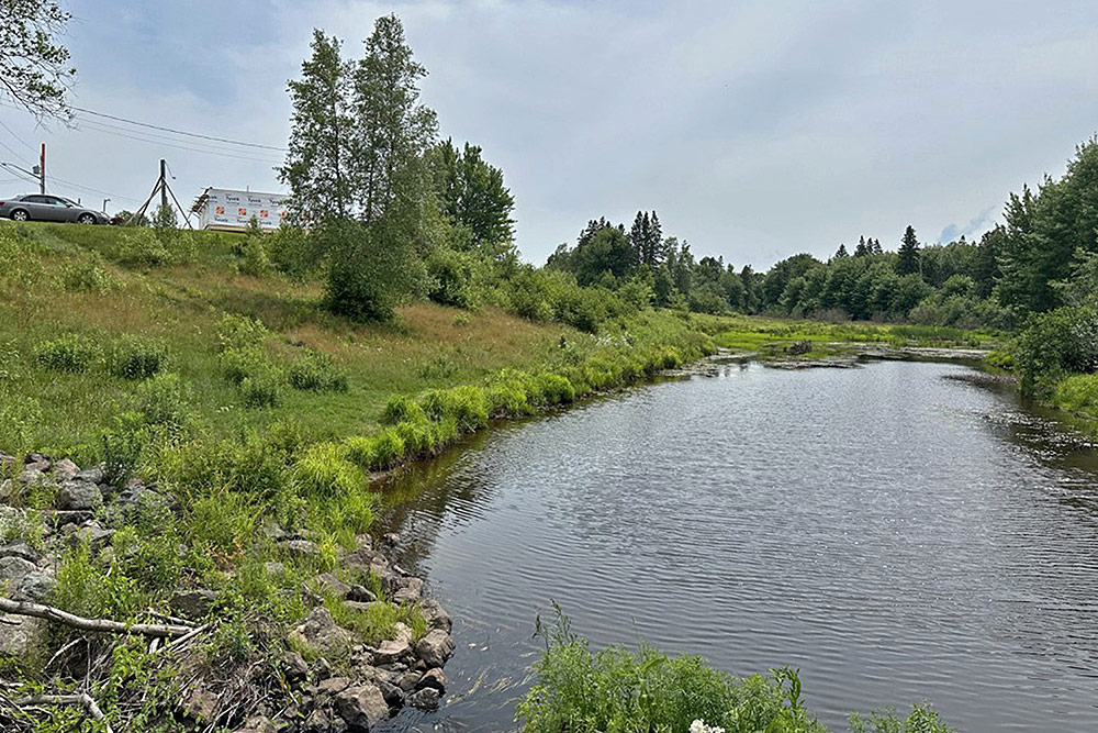 Bear Creek