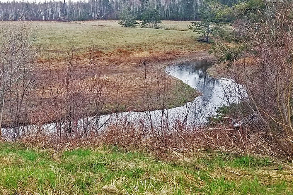 L'absence d'arbres et de végétation haute le long des cours d'eau signifie qu'il y a moins d'ombre, ce qui entraîne une augmentation de la température de l'eau.